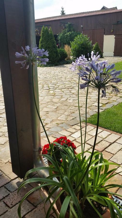 Ferienwohnungen Dirk Laurisch Radensdorf Dış mekan fotoğraf