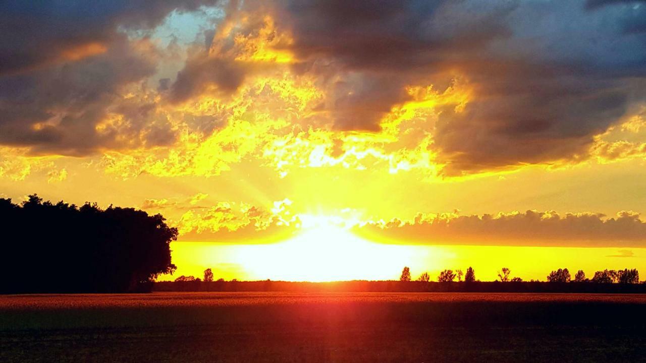 Ferienwohnungen Dirk Laurisch Radensdorf Dış mekan fotoğraf