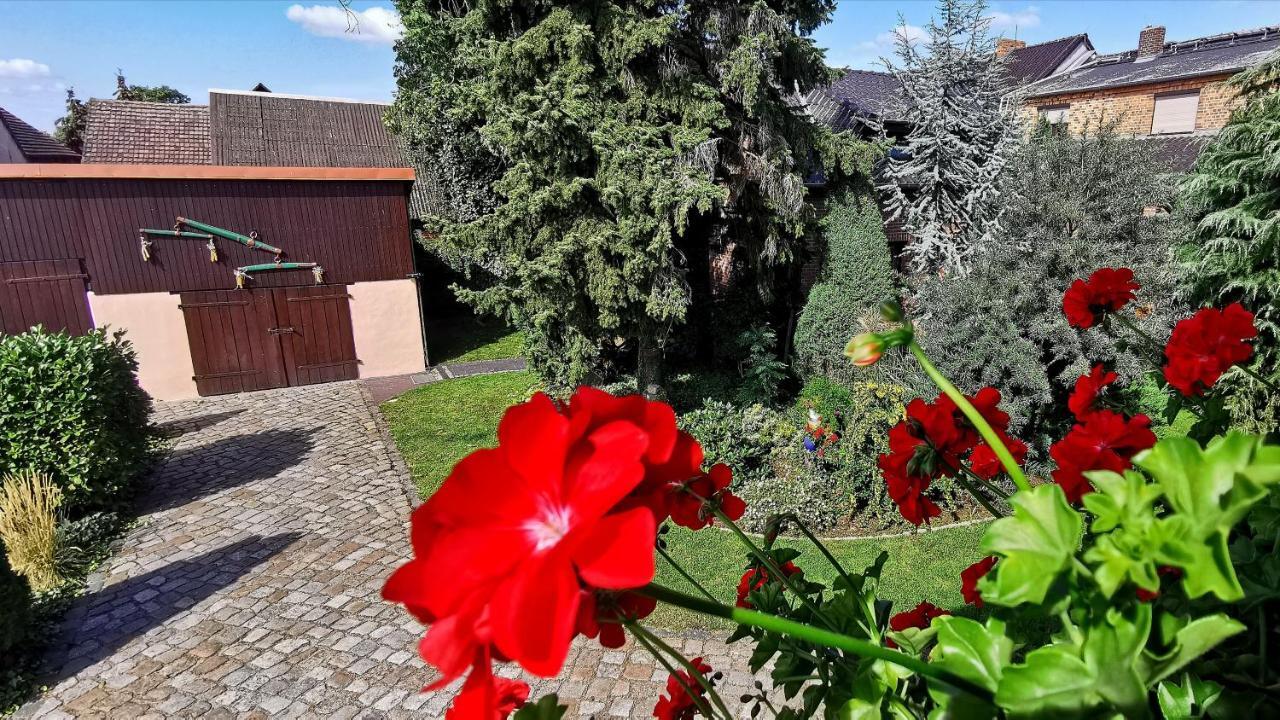 Ferienwohnungen Dirk Laurisch Radensdorf Dış mekan fotoğraf